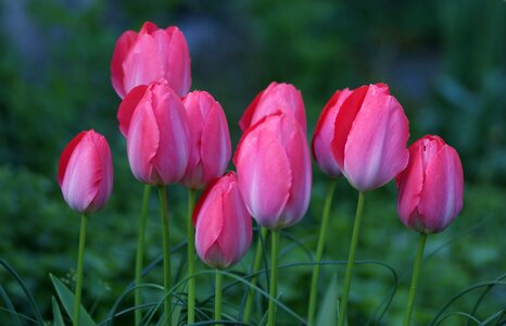 Spring together unit