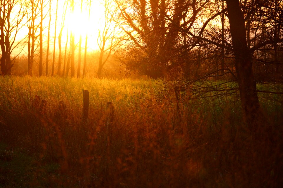 Sunset meadow evening sky