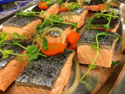 Cold preserved salmon summer food mat