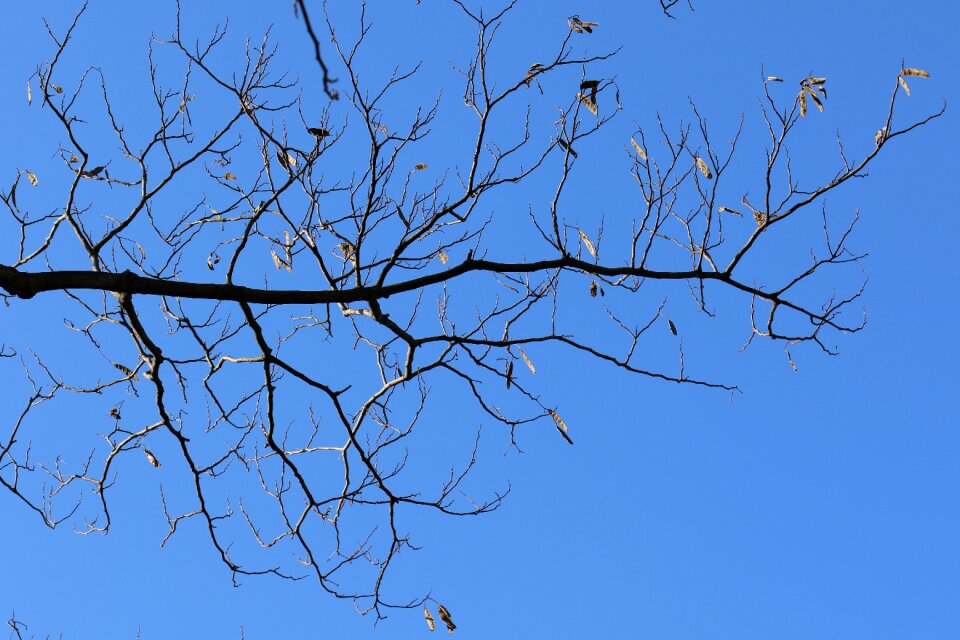 Sky nature loneliness