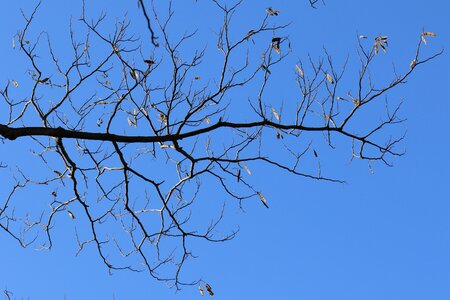 Sky nature loneliness