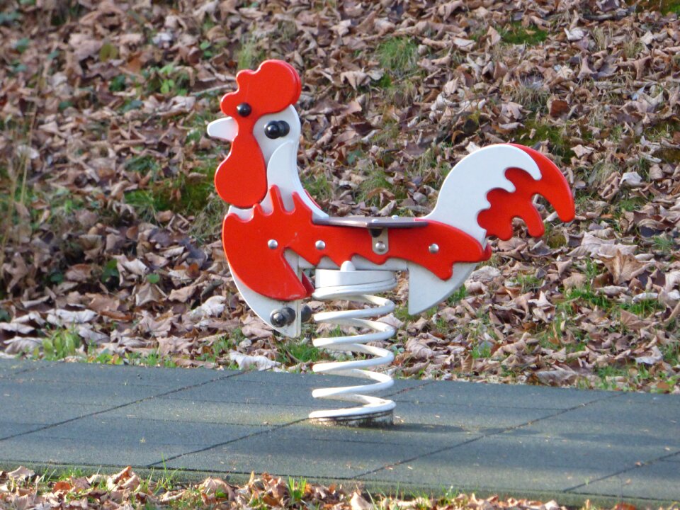 Playground bird comb