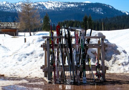 Ski poles ski area winter sports photo