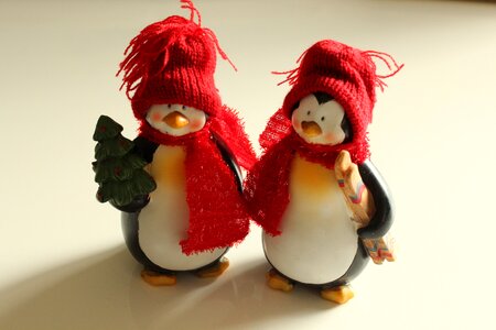 Winter penguin decorative photo