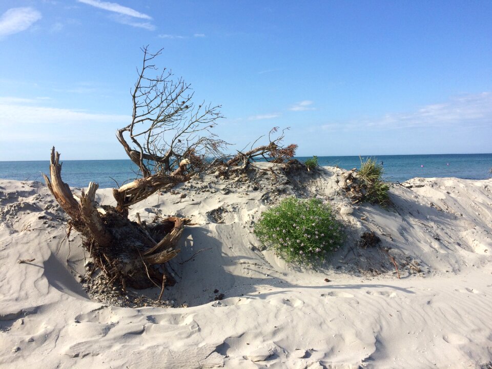 Beach no stress nature