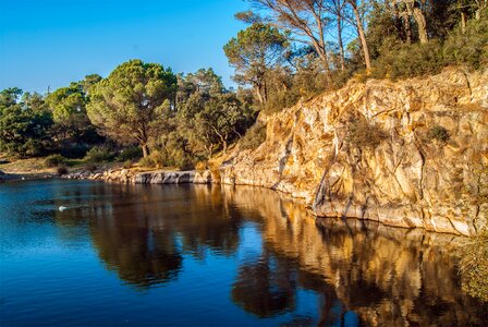 Natural landscape trees pond photo