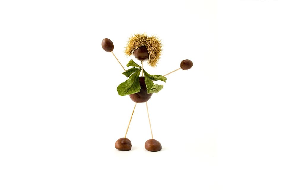 Autumn fall brown