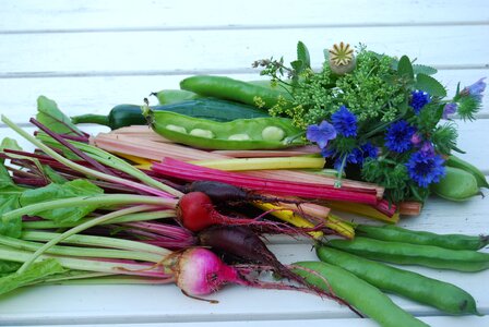 Garden harvest summer