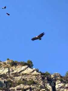 Hill priorat montsant