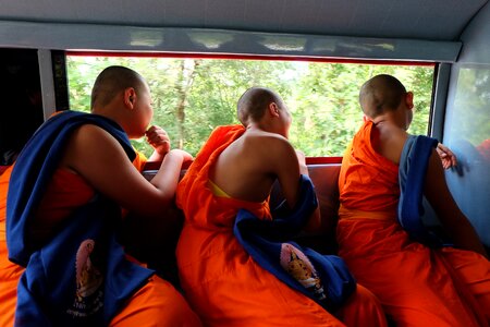 Color monk curious