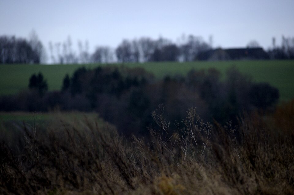 Natural view winter