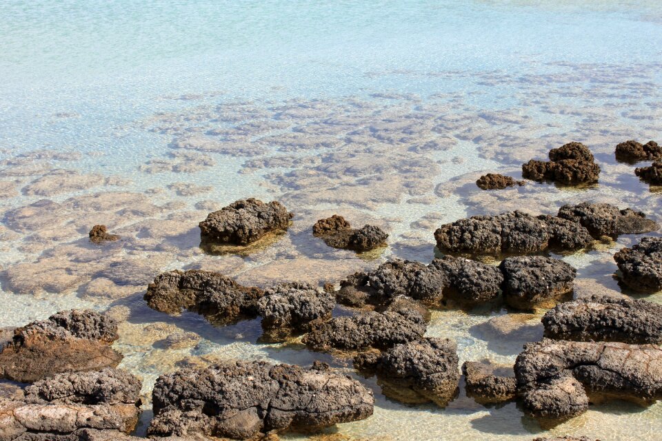 Stromatolit coast water