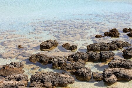 Stromatolit coast water