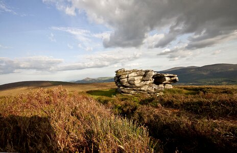 Ireland nature ireland