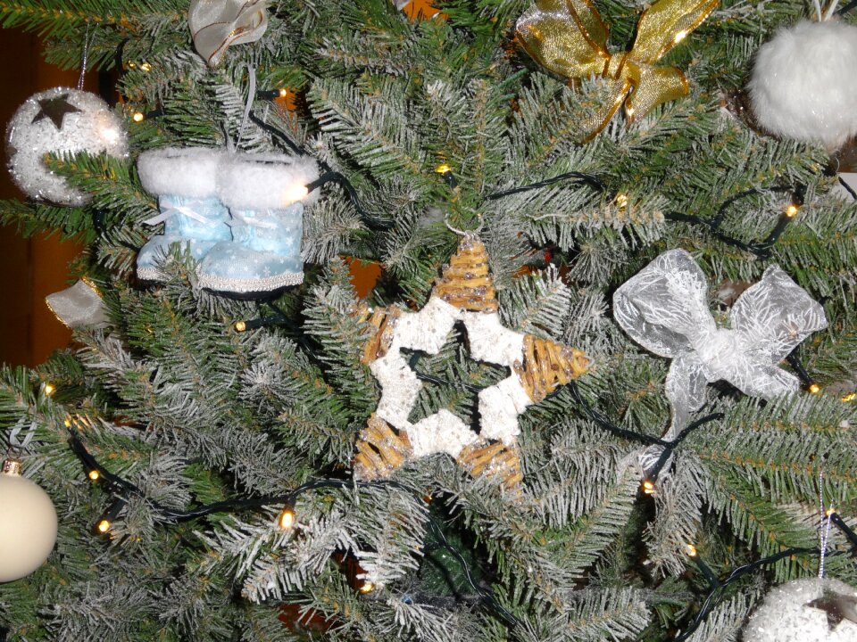 Christmas public holidays Free photos