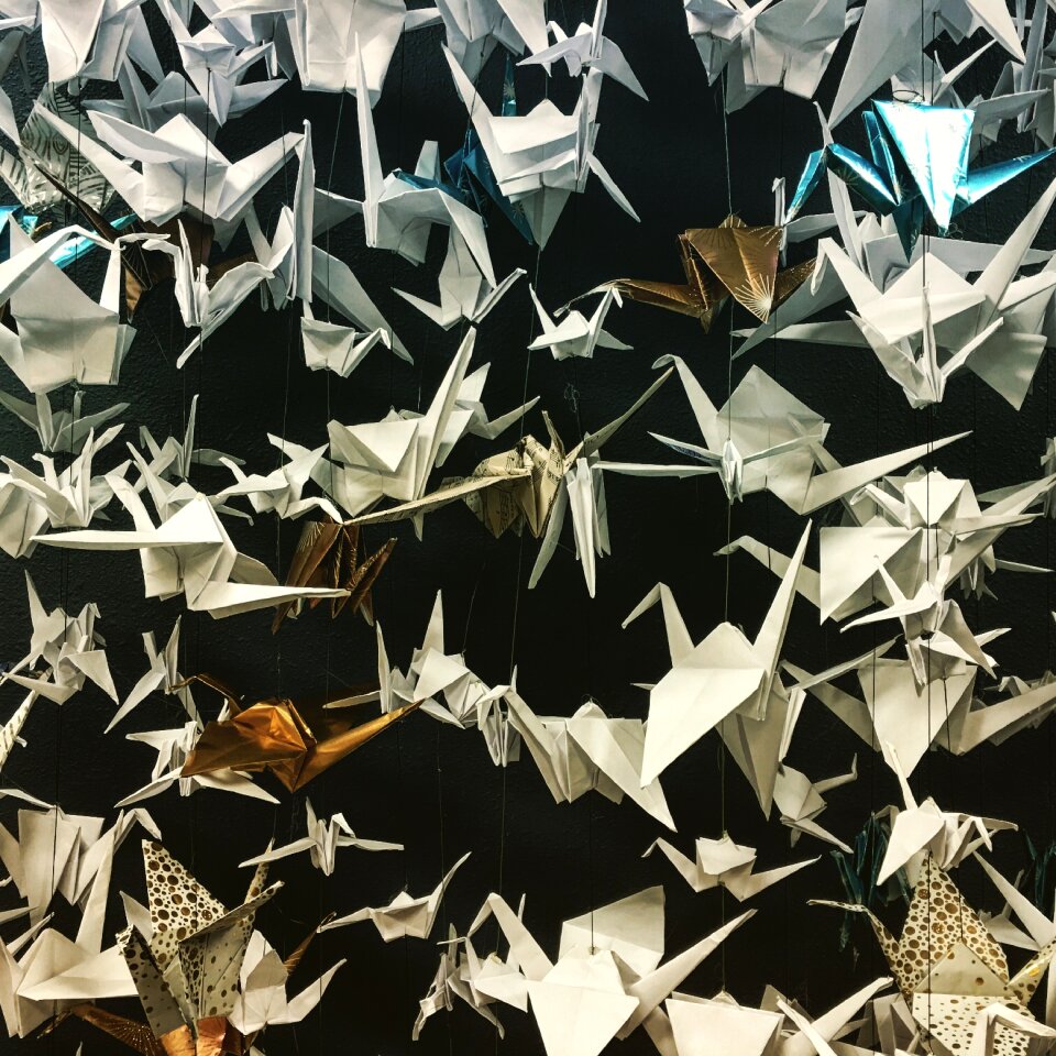 Bird crane folded