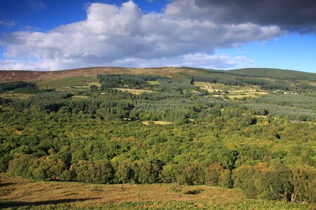 Ireland nature ireland
