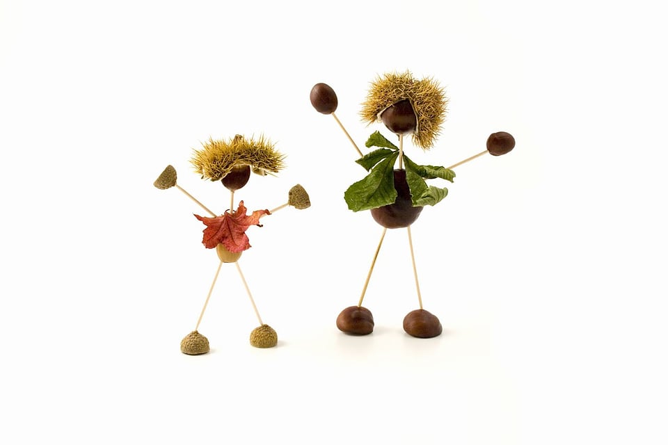 Acorns figure figures