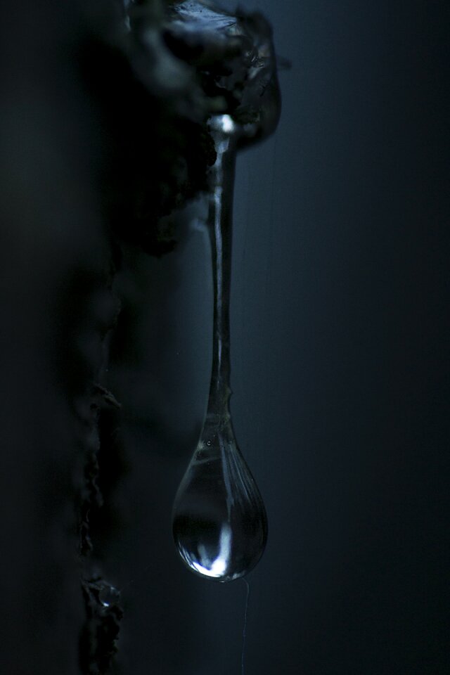 Six dark twilight
