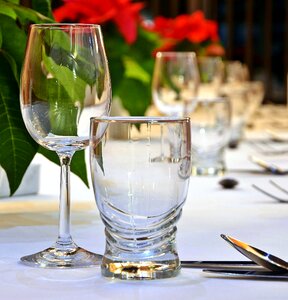 Wine glasses tableware the adoption of