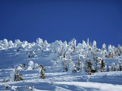 Travel winter snow mountain photo