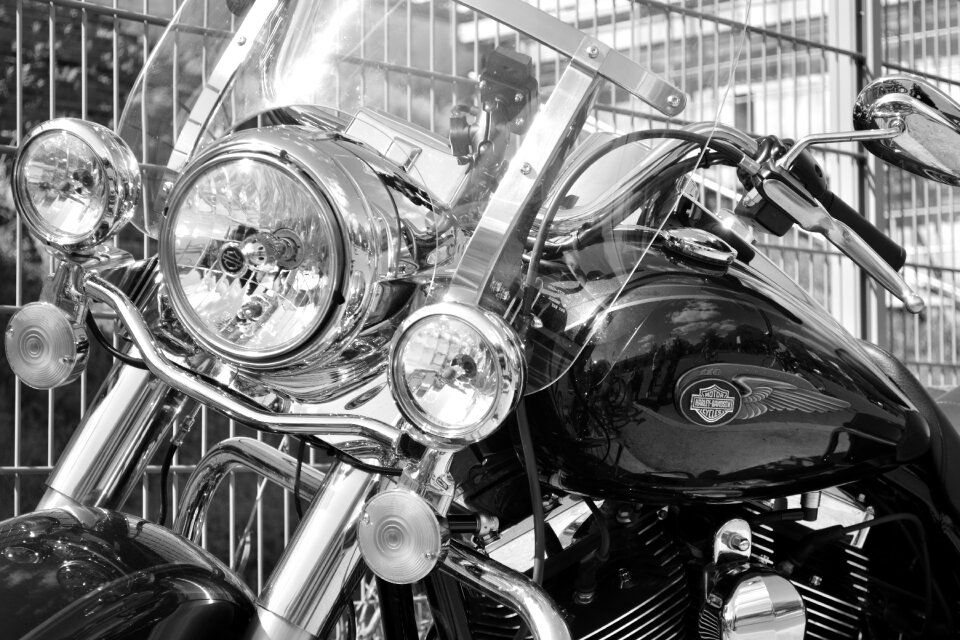 Motorcycle harley davidson freedom