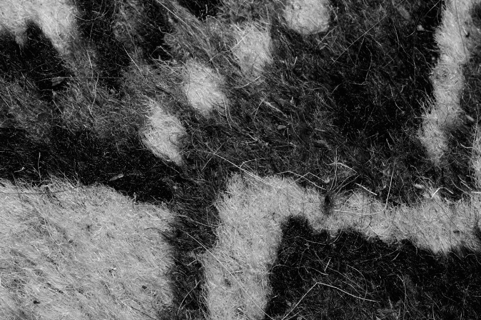 Pattern graphics hair