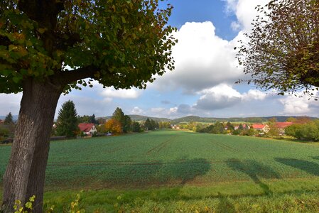 Nature field grass photo