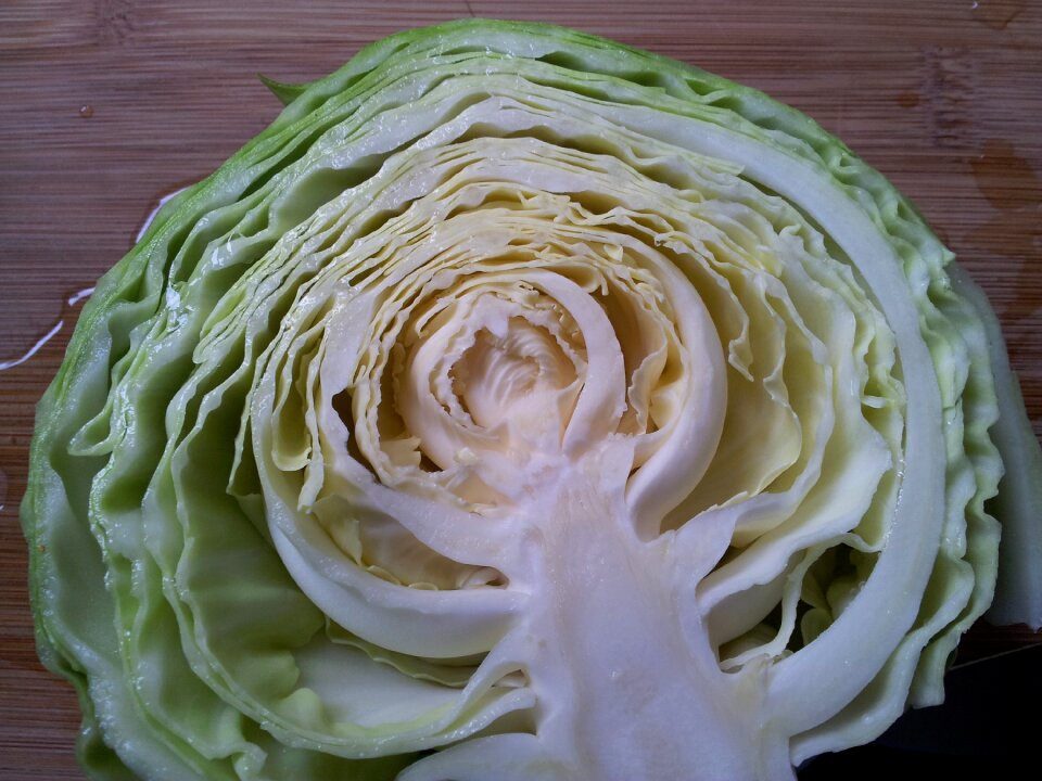 Half raw cabbage vegetable