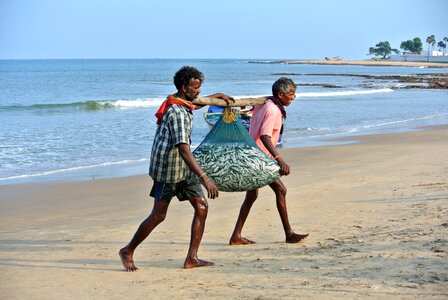 Beach india labor
