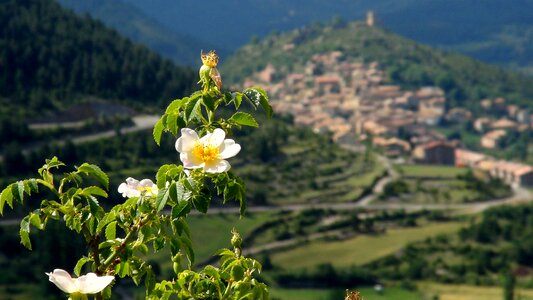 People wild flowers plant wildlife