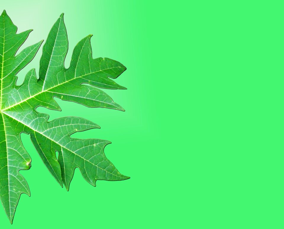 Paper background text