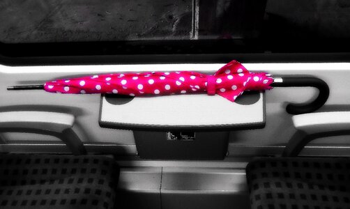 Compartment travel umbrella