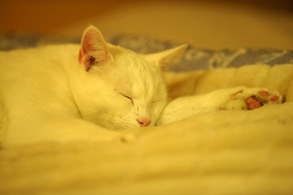 Ro peace relaxation