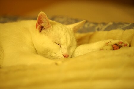 Ro peace relaxation
