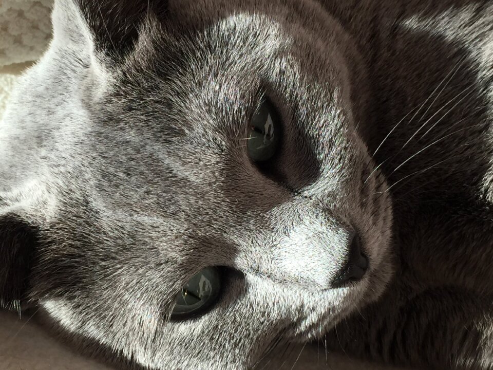 Smooch eyes powerful