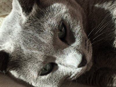 Smooch eyes powerful
