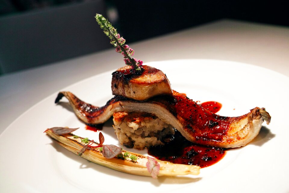 Foie gras food gourmet