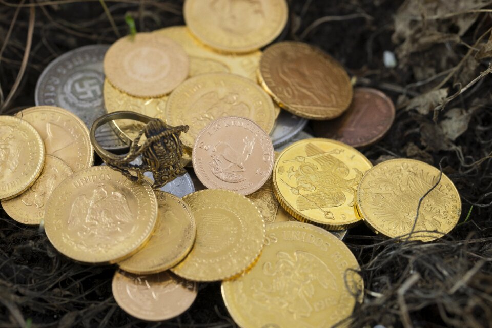 Money coins specie