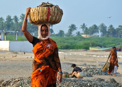 Fish labor asia photo