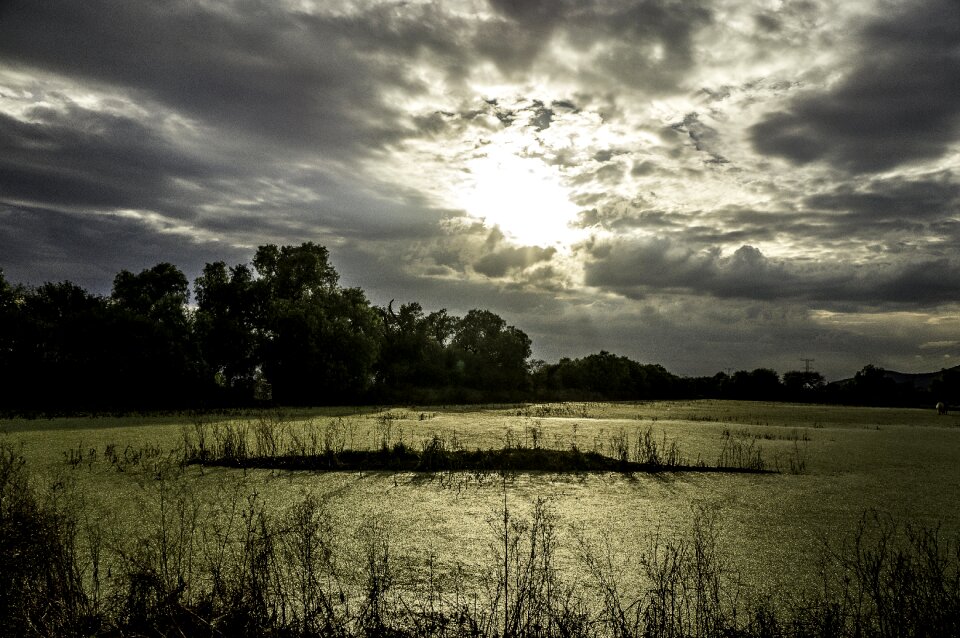 Peace field clouds