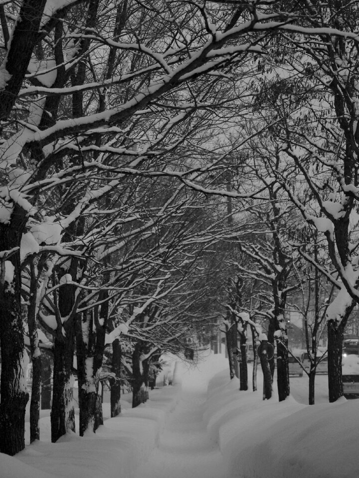 Road winter road coldness