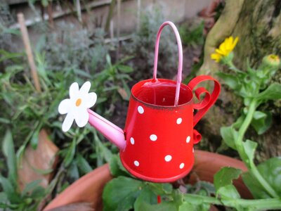 Miniature decoration garden