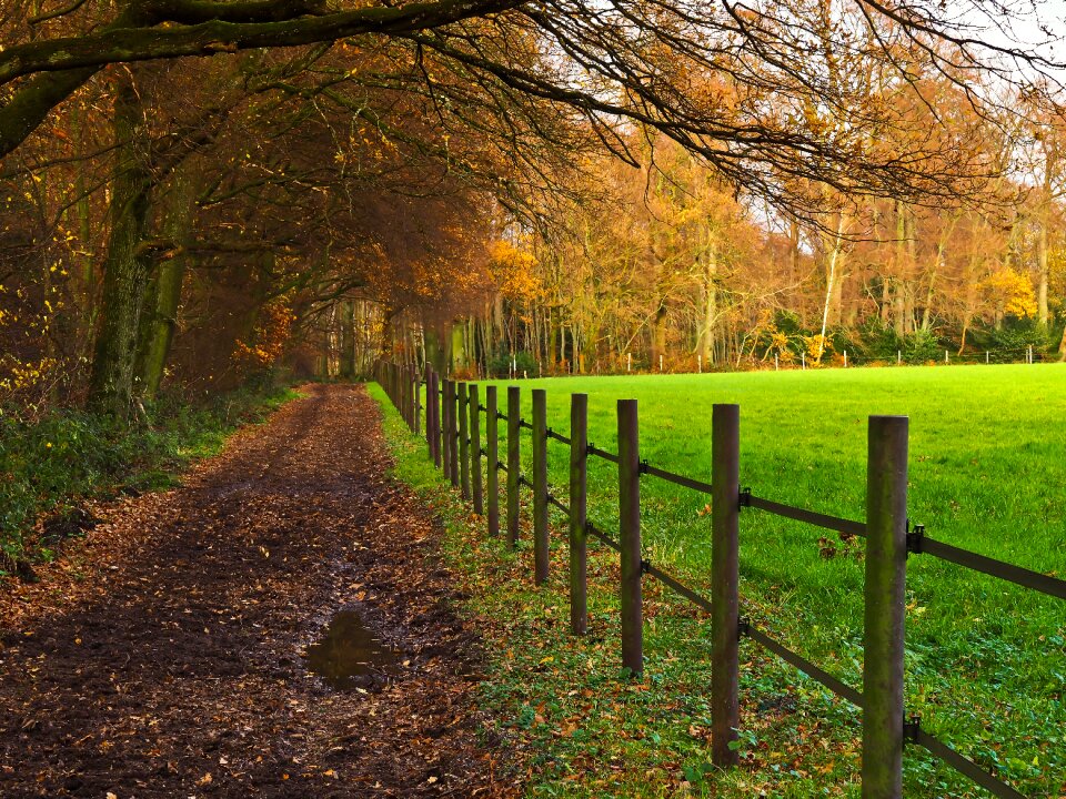 Away autumn fence