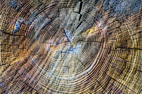 Circle pattern background wood