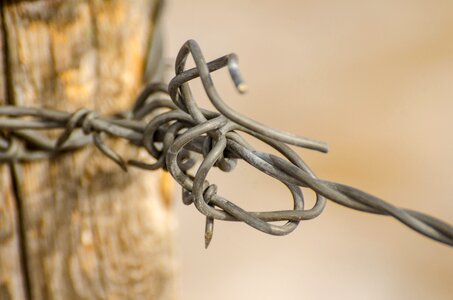 Ranch rustic barbed