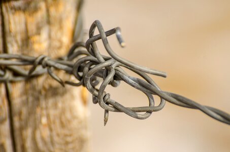 Ranch rustic barbed photo