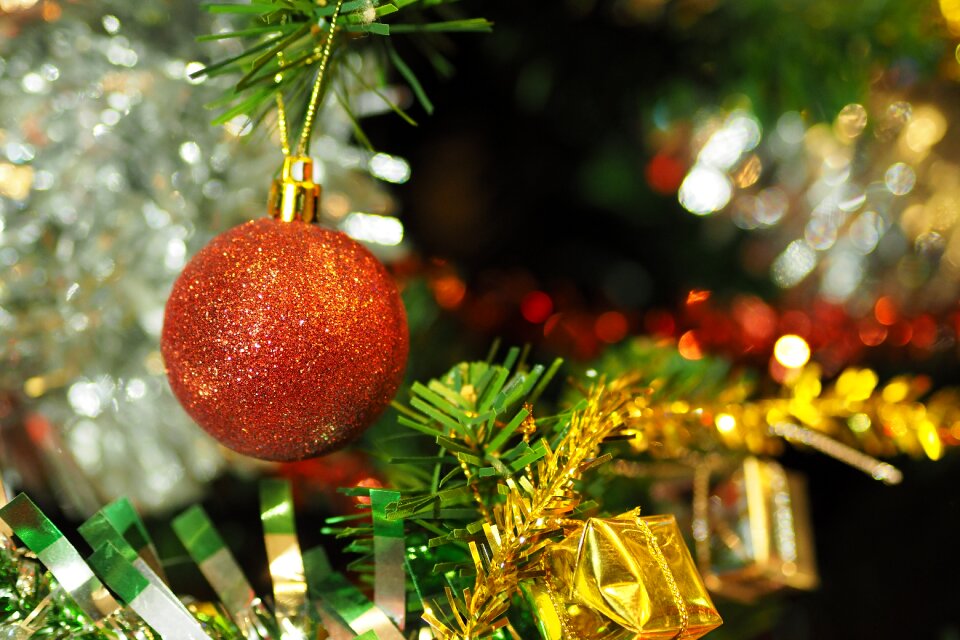 Merry christmas the christmas tree festival