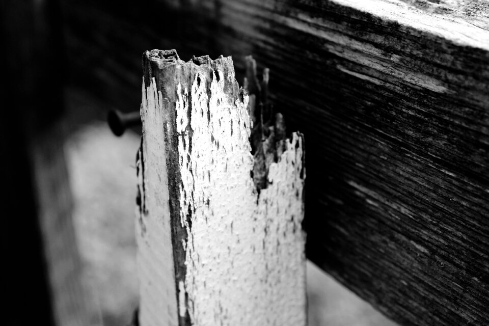 Wood weathered broken