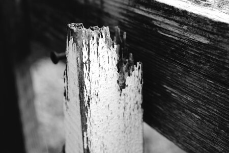 Wood weathered broken photo